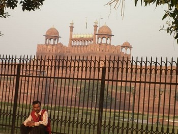 delhi